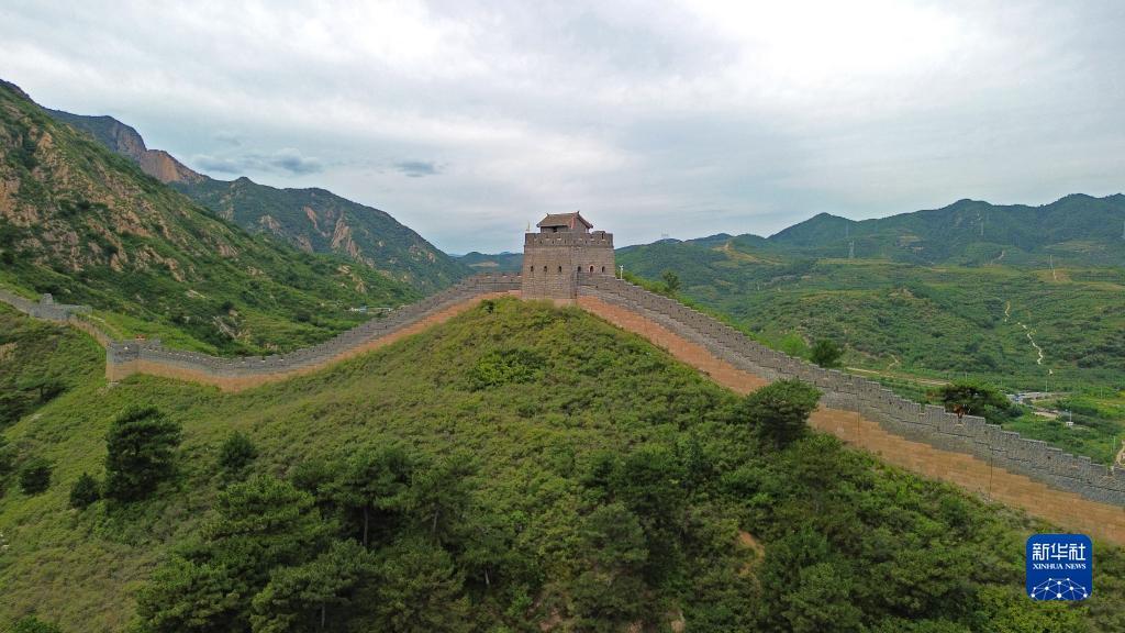 利记官方是什么
